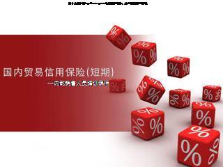 国内贸易信用保险（短期） 内部销售人员培训指南